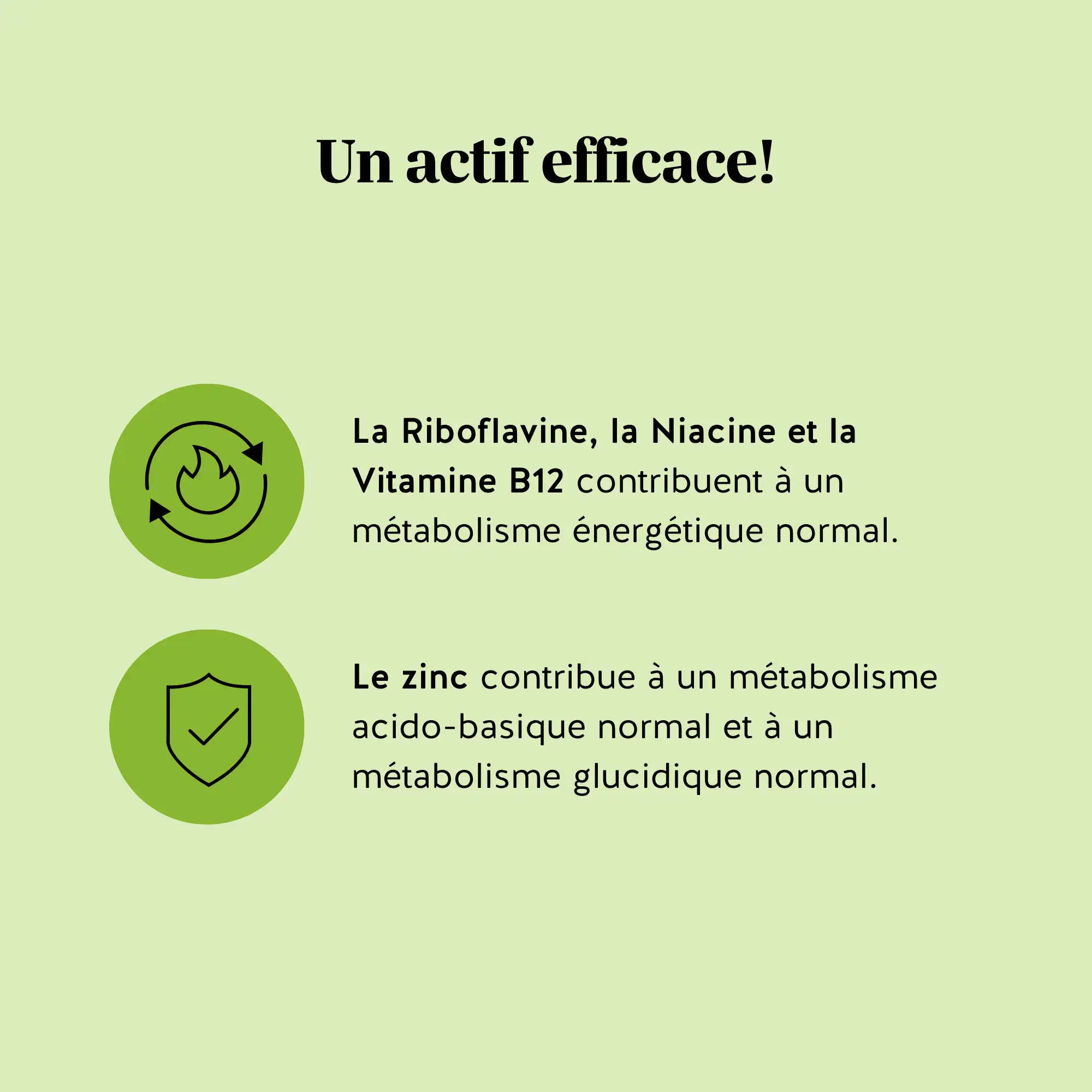 Matcha - Métabolisme & Énergie - Image 4